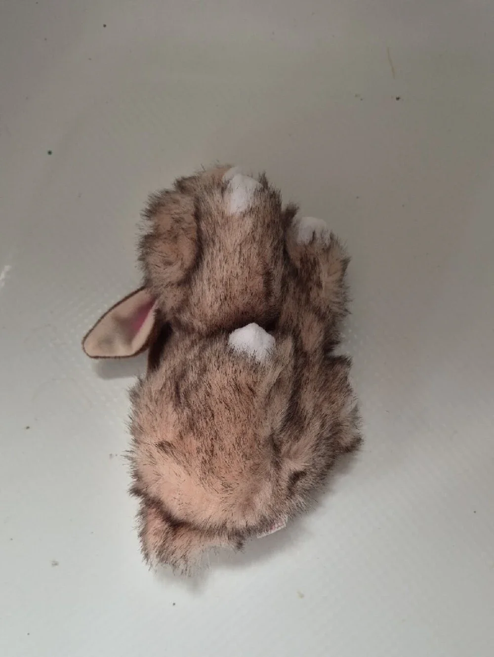 Buster TY The Beanie Babies Collection Bunny Birthday May 23